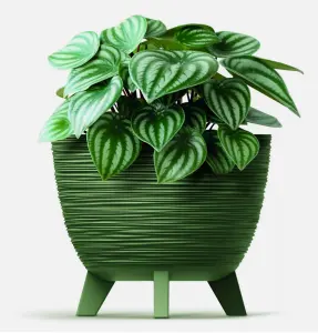 Bowl Planter Plant Pot Legs Oval Flower Modern Decorative FURU Indoor Green 23.6cm Width