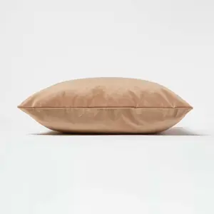 Homescapes Beige Velvet Cushion, 45 x 45 cm