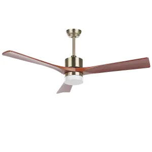 Ceiling Fan with Light Brass ARUWIMI