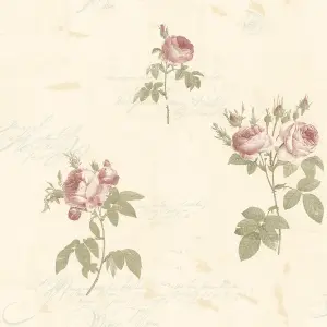 Galerie Rose Garden Pink Vintage Roses Smooth Wallpaper