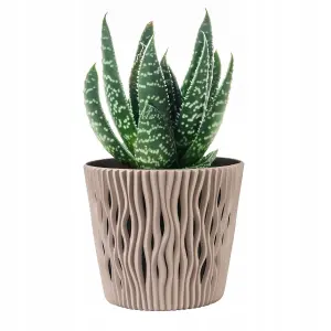 Indoor Plant Pots with Insert Plastic Flowerpot Small Large Mocca 13cm