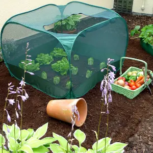 GardenSkill Pop Up Strawberry & Salad Fruit Cage Bird Netting Pest Protection Cover 1.25m x 0.75m H