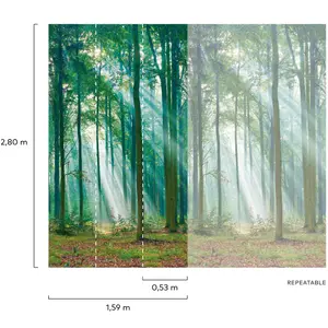 Grandeco Photographic Forest Sunlight Through Trees 3 panel repeatable mural 2.8 x 1.59m