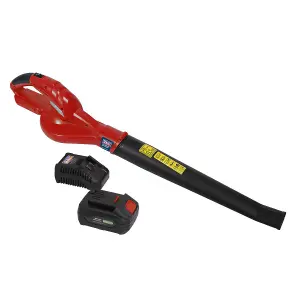 Sealey Leaf Blower Cordless 20V SV20 Series with 4Ah Battery & Charger CB20VCOMBO4