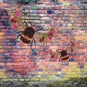 Bee Bloom Hover Bee Outdoor Vinyl Print  - Medium