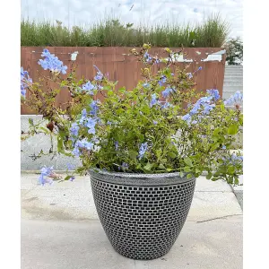 Silver Cromarty Plant Pot Large 36cm Plastic Round Flower Garden Patio Planter