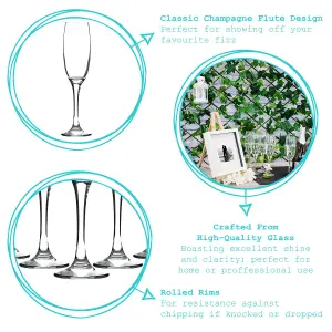 Argon Tableware - Classic Champagne Flutes - 220ml - Pack of 24 - Clear