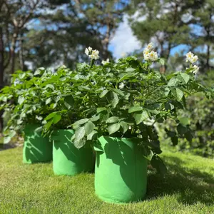 Potato & Vegetable Planter Grow Bags (Set of 3) Non Woven Aeration Fabric Pots