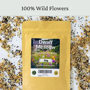 Dwarf Meadow Wildflower Seeds 100g (50m²)