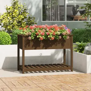 Berkfield Planter with Shelf Honey Brown 111.5x54x81 cm Solid Wood Pine