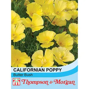 Californian Poppy Butter Bush 1 Seed Packet (150 Seeds)