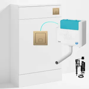 Bubly Bathrooms™ 500mm WC Unit & Bottom-Entry Concealed Cistern -  Square Brushed Brass Dual Flush Plate