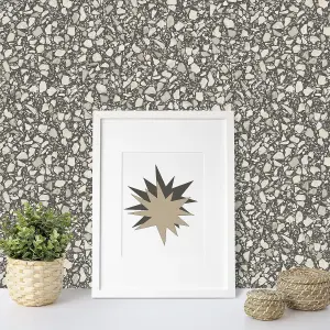 Fine Decor FD24958 Terrazzo Wallpaper, Black