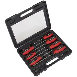 21 Piece Premium S2 Steel Screwdriver and Bit Set with Soft Grip Handles