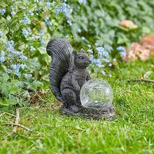 Solar Powered Multicoloured LED Squirrel Statue Garden Ornament