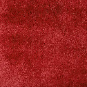 Shaggy Area Rug 200 x 200 cm Red EVREN