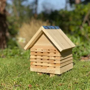 Wooden Solitary Bee Hive Hotel Habitat & Hanging Butterfly House