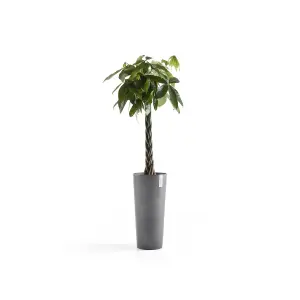 Amsterdam High Vase Ecopot  Grey