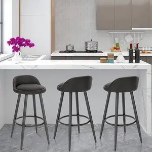 Ackeron 70Cm Bar Stool (Set of 2) Anthracite