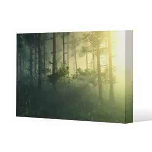 sun, trees in a haze of light, glowing fog among the trees (Canvas Print) / 31 x 41 x 4cm