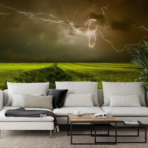 Lightning and Thunder Mural - 384x260cm - 5098-8