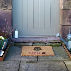 Cat Hello Coir Doormat (60 x 40cm)