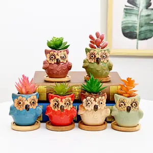 simpa 6PC Flower Eye Owl Ceramic Plant Pots with Bamboo Base