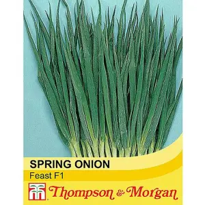 Spring Onion Feast 1 Seed Packet