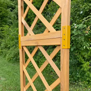 Wooden Garden Planter with Trellis (Set of 2)