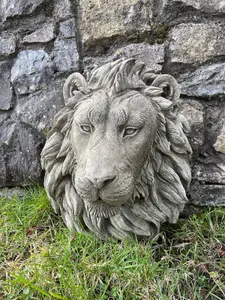 Large Lion Head Bust Hanging Plaque Stone African Animal Outdoor Garden Ornament