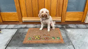 Coco & Coir Door Mats Indoor Outdoor Non Slip Dog Design Entrance Welcome Mat 40cm x 60cm DOGGY DOGGY