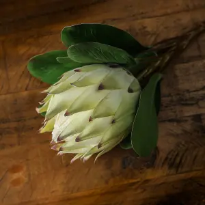 Hill Interiors Protea White Faux Plant Large