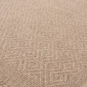 Nature Collection Outdoor Rug in Neutral  5100N