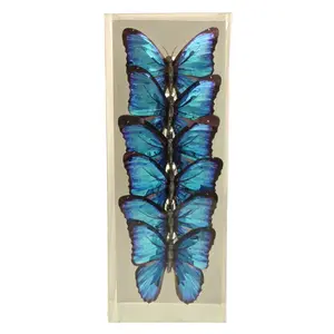 Butterfly Christmas Clip Ornament Blue