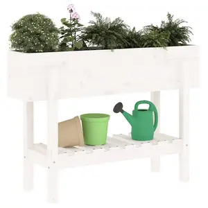 Berkfield Garden Raised Bed White 101x30x69 cm Solid Wood Pine