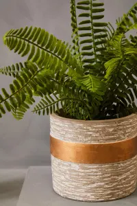 Fiori Boston Fern Succulent Artificial Plant Foliage