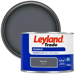 Leyland Trade Vinyl Matt Walls & Ceilings Emulsion Paint Slate Grey (RAL 7015) 350ml Tester