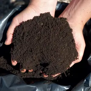 Pro-Grow Premium Topsoil 55 x 20L Bags - 1100L: Peat-free sandy loam topsoil - raised beds, plants, lawn preparation & landscaping