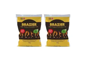 Brazier Multi-Purpose Smokeless Fuel - 10KG Bag (Pack of 2)