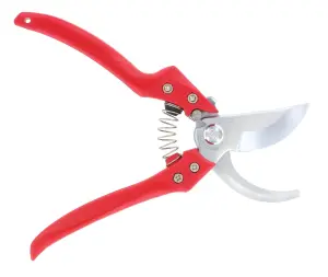 ARS CB-9Z Bypass Pruning Secateurs