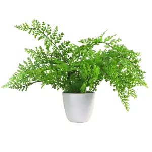 30cm Artificial Potted Royal Fern