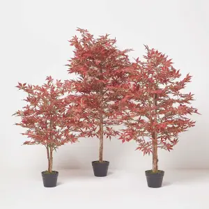 Homescapes Acer Tree in Pot, 150 cm Tall