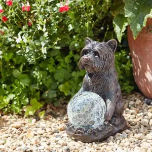 Solar Powered Multicoloured LED Dog Statue Garden Ornament