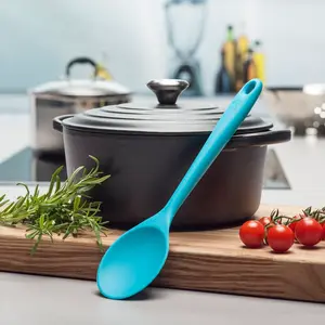 Zeal Silicone Cooking Spoon Aqua Blue