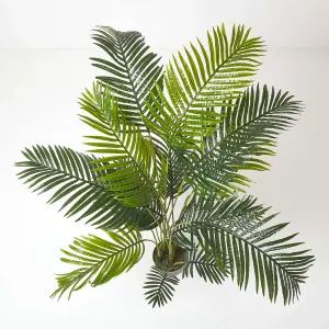 Homescapes Areca Palm Tree in Pot, 160 cm Tall