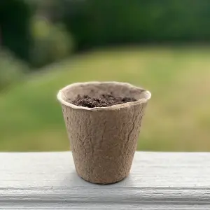 288 x 7cm Eco Round Fibre Biodegradable and Compostable Plant Pots