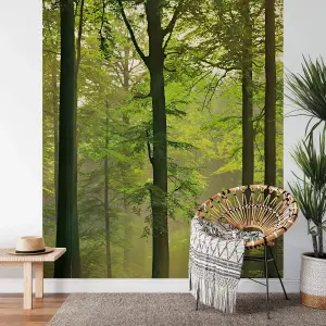 Autumn Forest Mural - 192x260cm - 5419-4