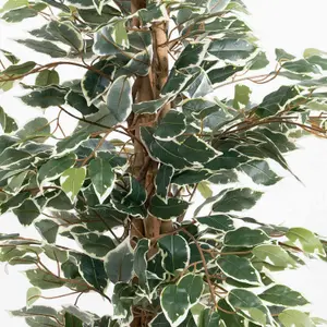 Blooming Artificial - 120cm / 4ft Variegated Faux Ficus Tree