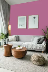 Leyland Trade Vinyl Soft Sheen Walls & Ceilings Emulsion Paint Florentine Pink (PPG17-09) - 5L