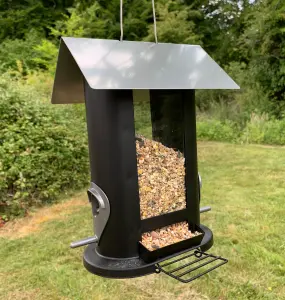 Wentworth Bird Seed Feeder with 4 Feeding Ports (Set of 2)